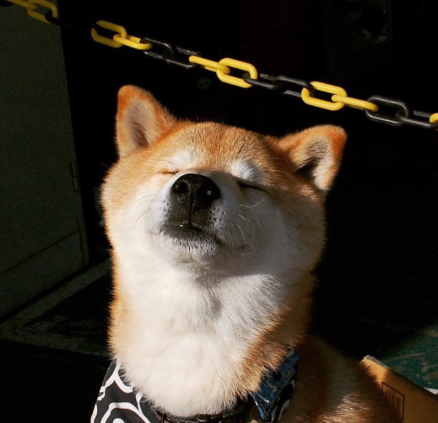 九游登录中心-5G技术在电竞领域的应用:低延迟与高速传输,5g技术在电竞领域的应用_低延迟与高速传输的关系