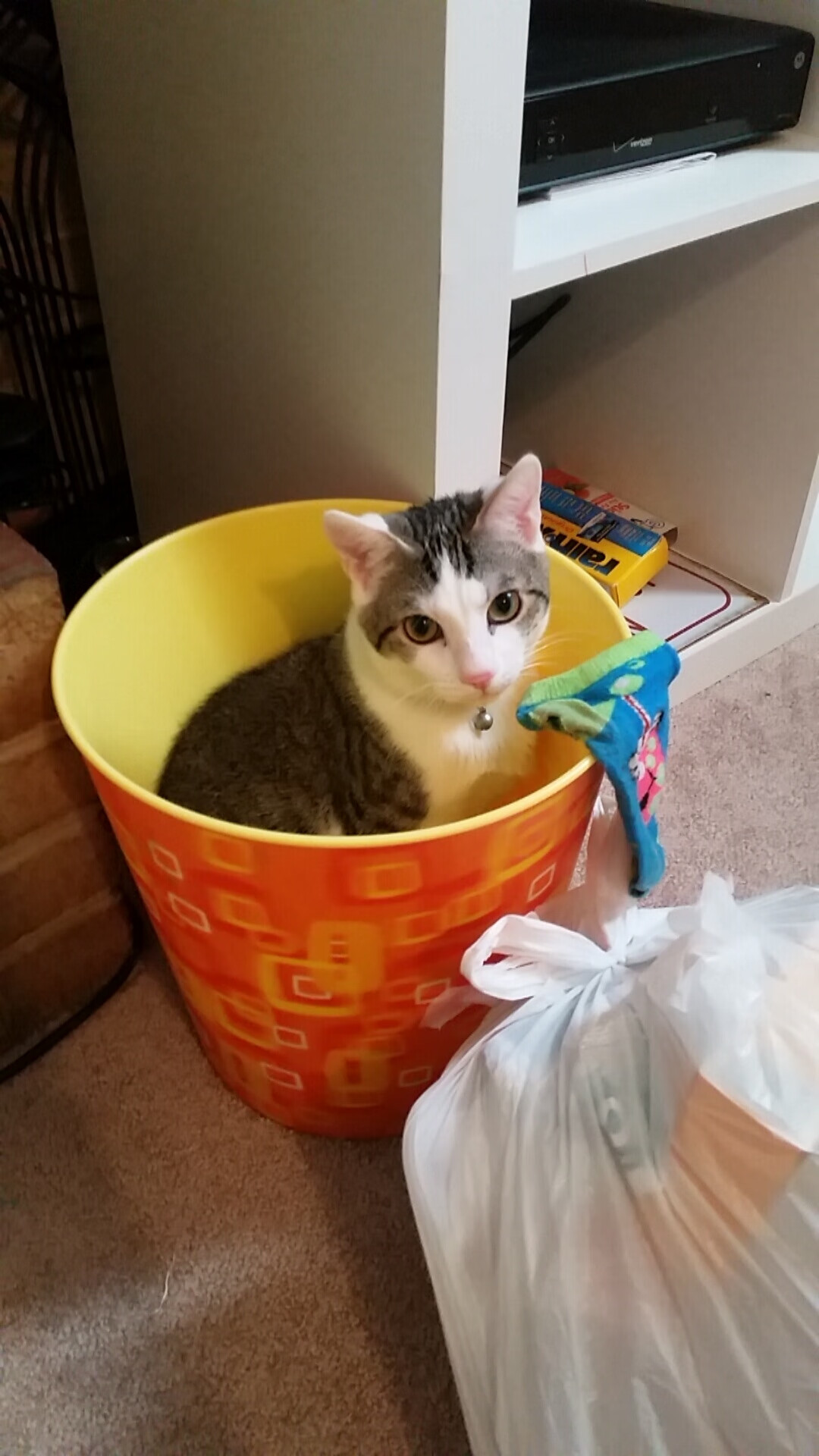 九游网-_凯尔特人实力再升,连续多场保持不败_,凯尔特人cousy