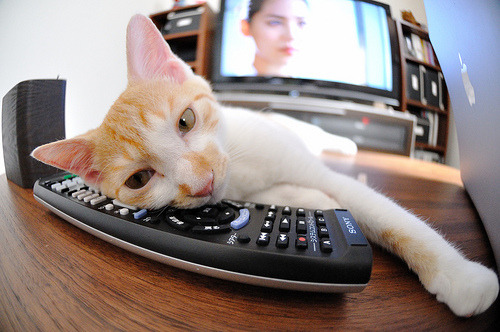 九游jiuyou-_爵士稳步推进,排名节节攀升_,爵士舞音乐歌曲节奏律强