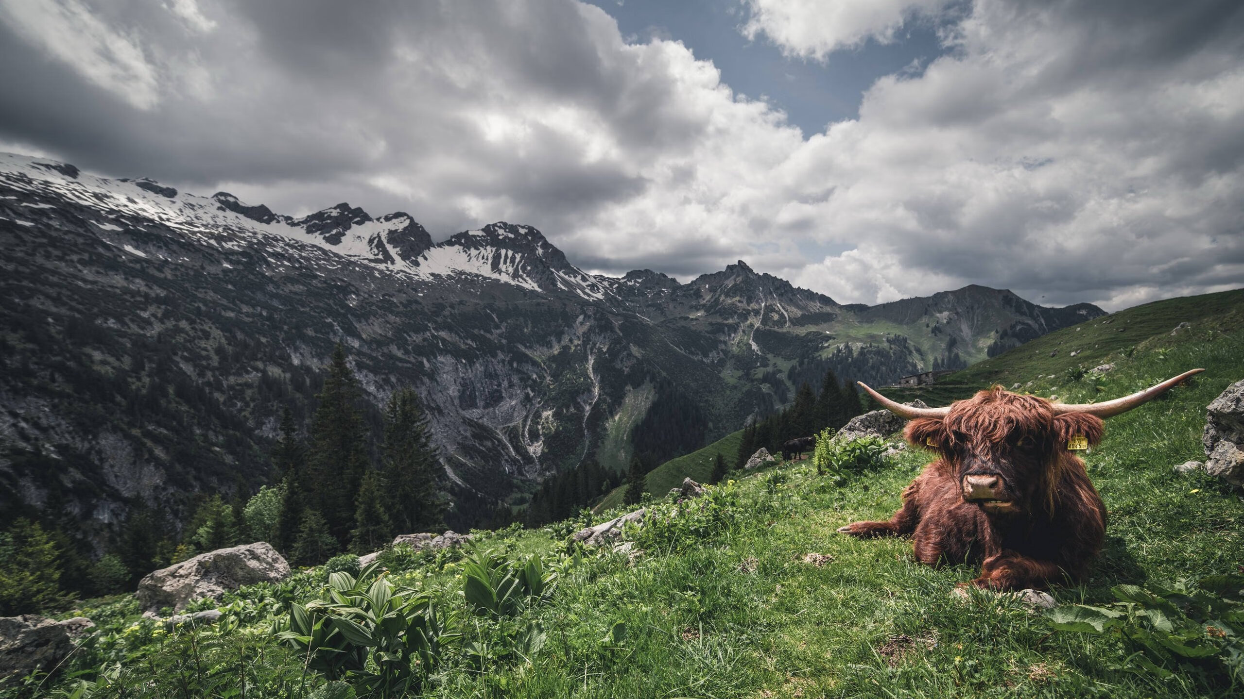 九游游戏中心官网-_骑士年轻核心持续爆发,未来可期_,骑士king