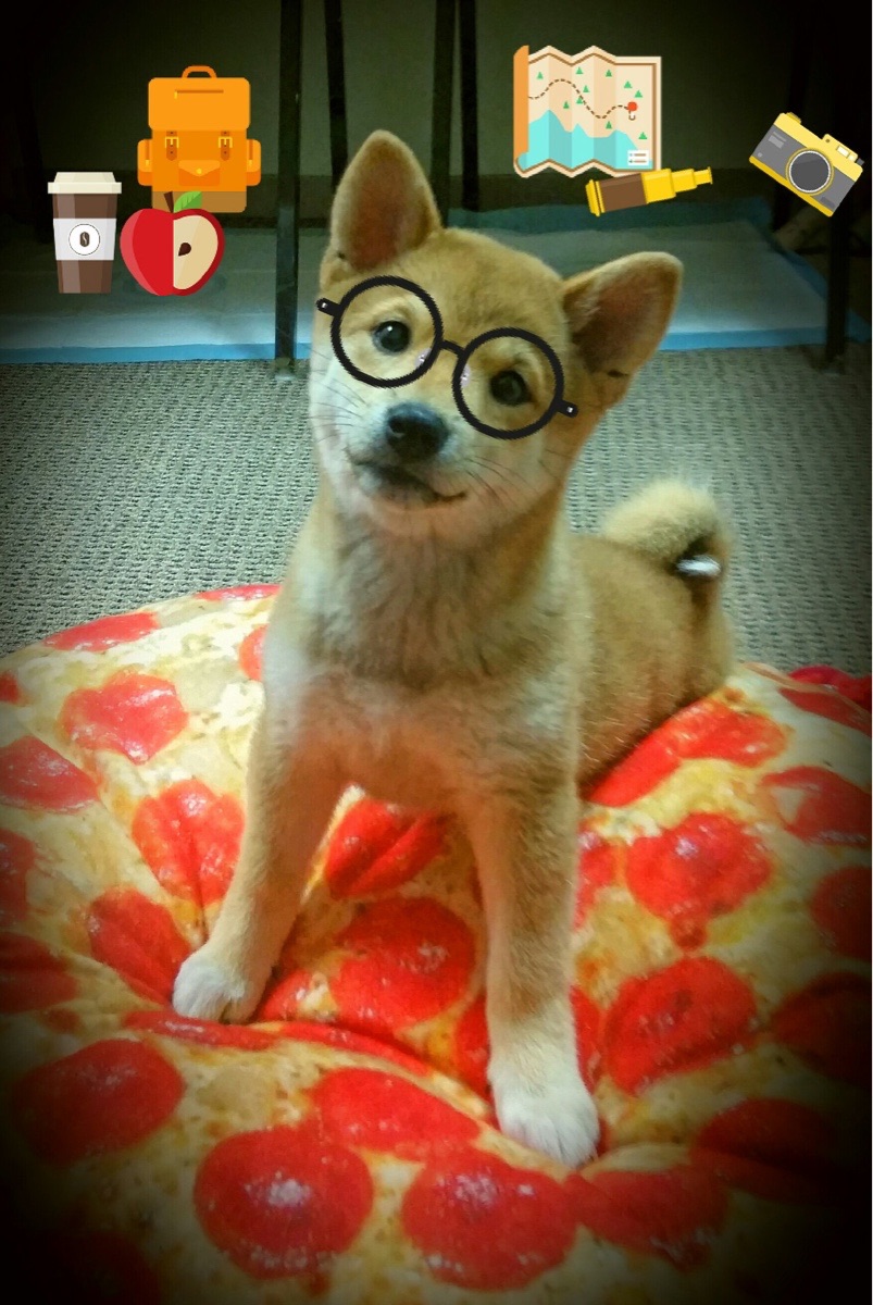 九游APP官网-“意甲争夺激烈,年轻豪门崭露头角”,意甲曾经的豪门