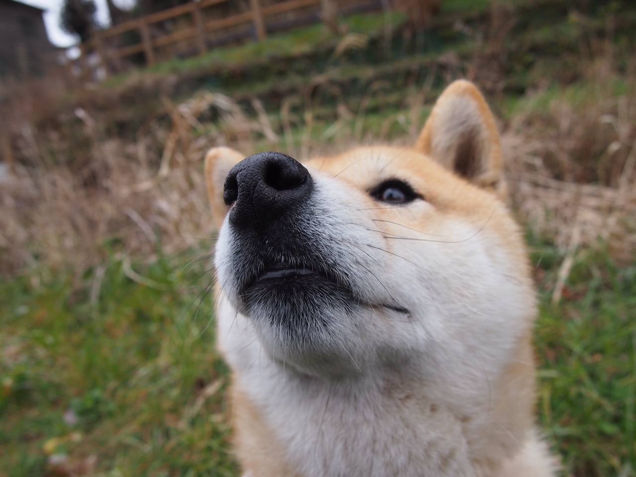 九游jiuyou-【运动员自述】丁俊晖：我平衡压力和比赛心态的秘诀，丁俊晖是哪项运动的职业选手