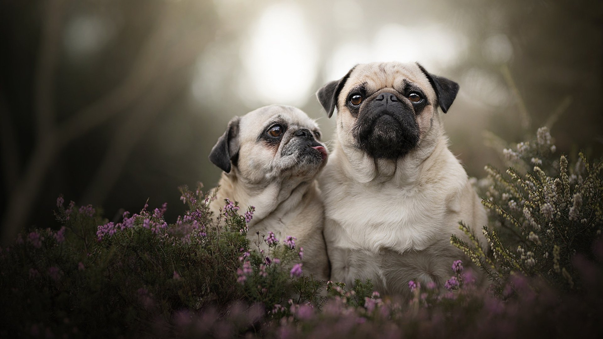 九游9游-东京马拉松中国选手破纪录，刷新亚洲最佳，东京马拉松男子前三名