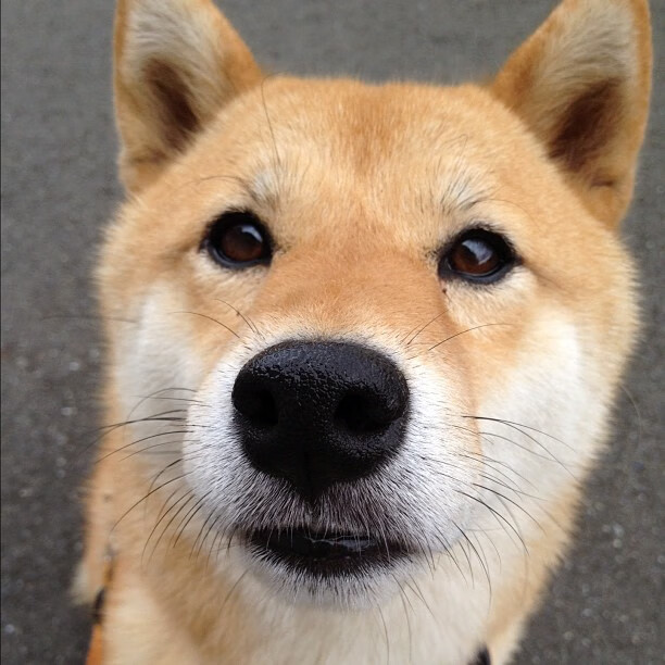 九游网游官网-传奇球员的“幕后秘辛”:他们的成长故事大公开,传奇球星nba