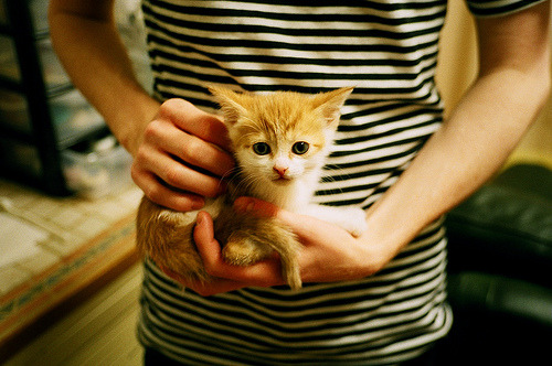 Jiuyou-史上最“燃”关键三分:那一球载入史册!