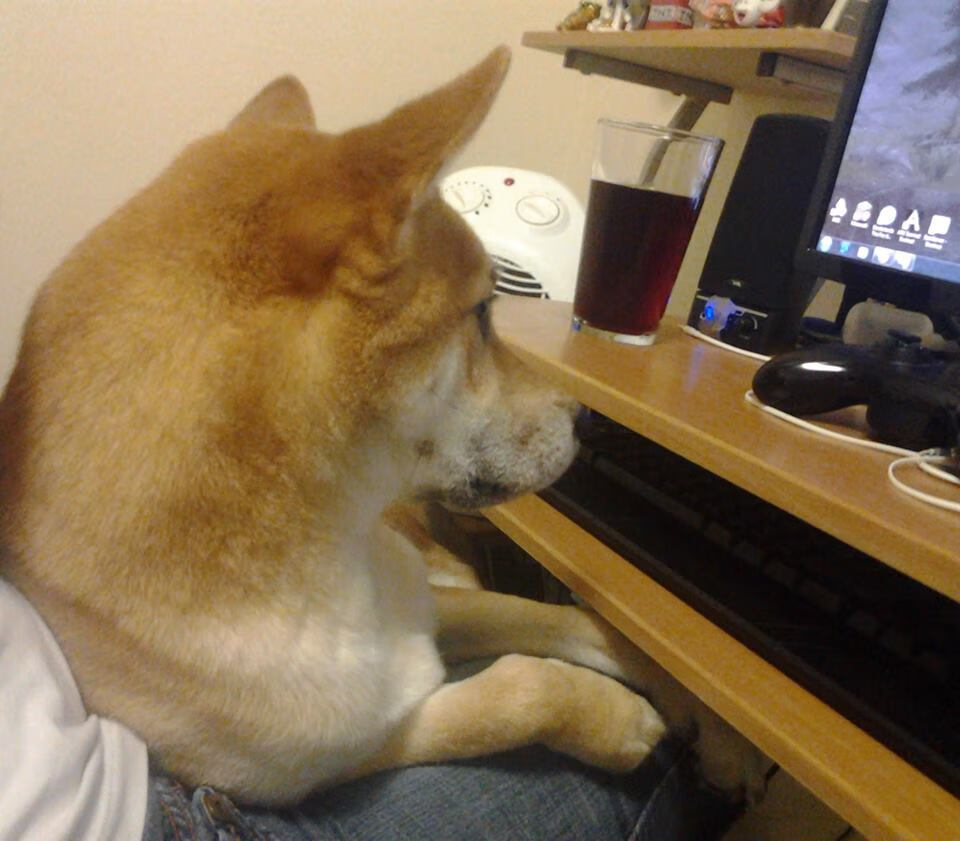 -女子篮球国际邀请赛中国队夺冠，国家女子篮球比赛