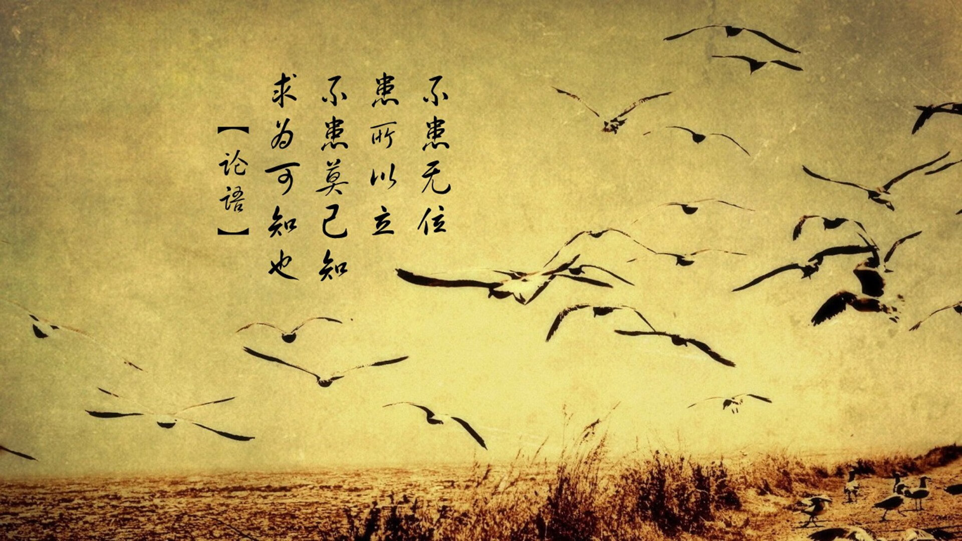 九游官网pc-西甲冠军焦点，球员分享心得，西甲冠军之争