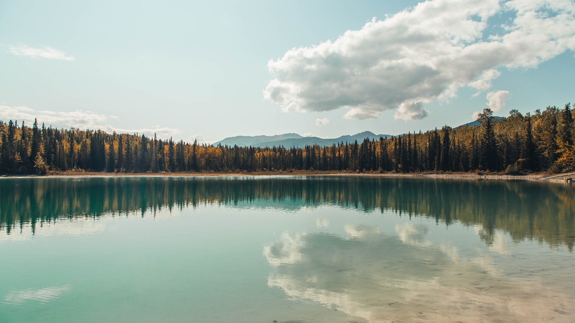 九游(jiuyou)官方网站-亚洲篮球裁判培训提升专业水平,篮球裁判培训课程