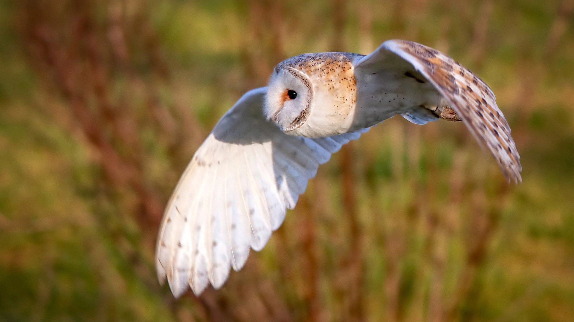 Jiu You-利物浦绝境逆转,成功晋级淘汰赛,利物浦遭主场六连败