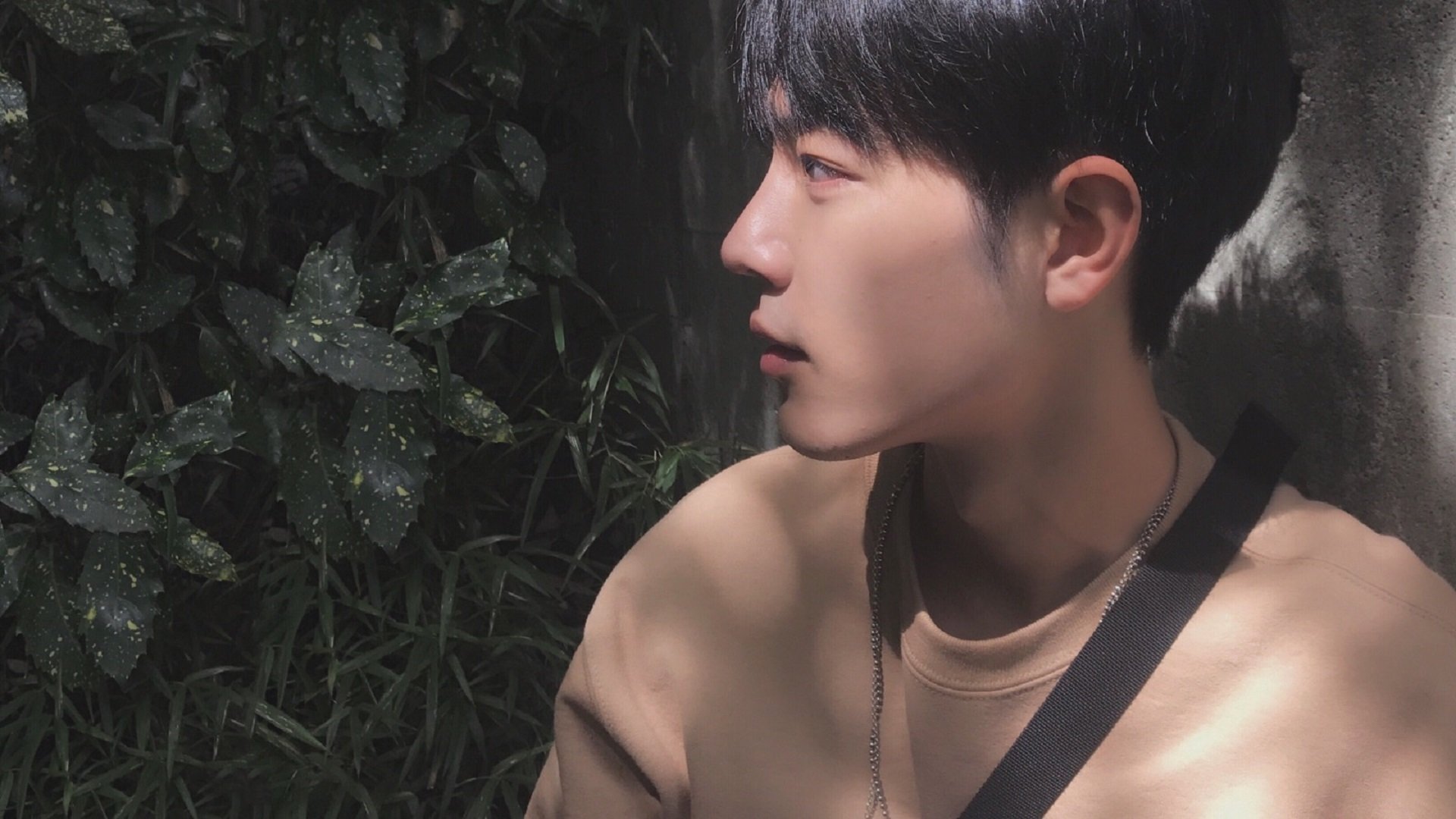 JiuyouAPP下载-突发游泳接力失误导致出局,突发游泳接力失误导致出局死亡