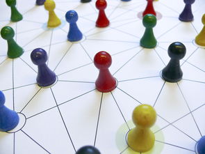 九游娱乐官网 (jiuyou)-中国篮球青训教练员能力提升路径,篮球青训师的待遇怎么样