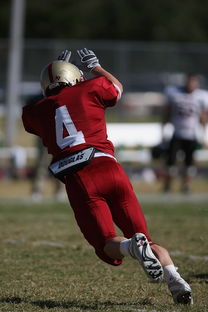 九游娱乐官网 (jiuyou)-西甲球队利用热区分析调整防守站位,西甲最新用球