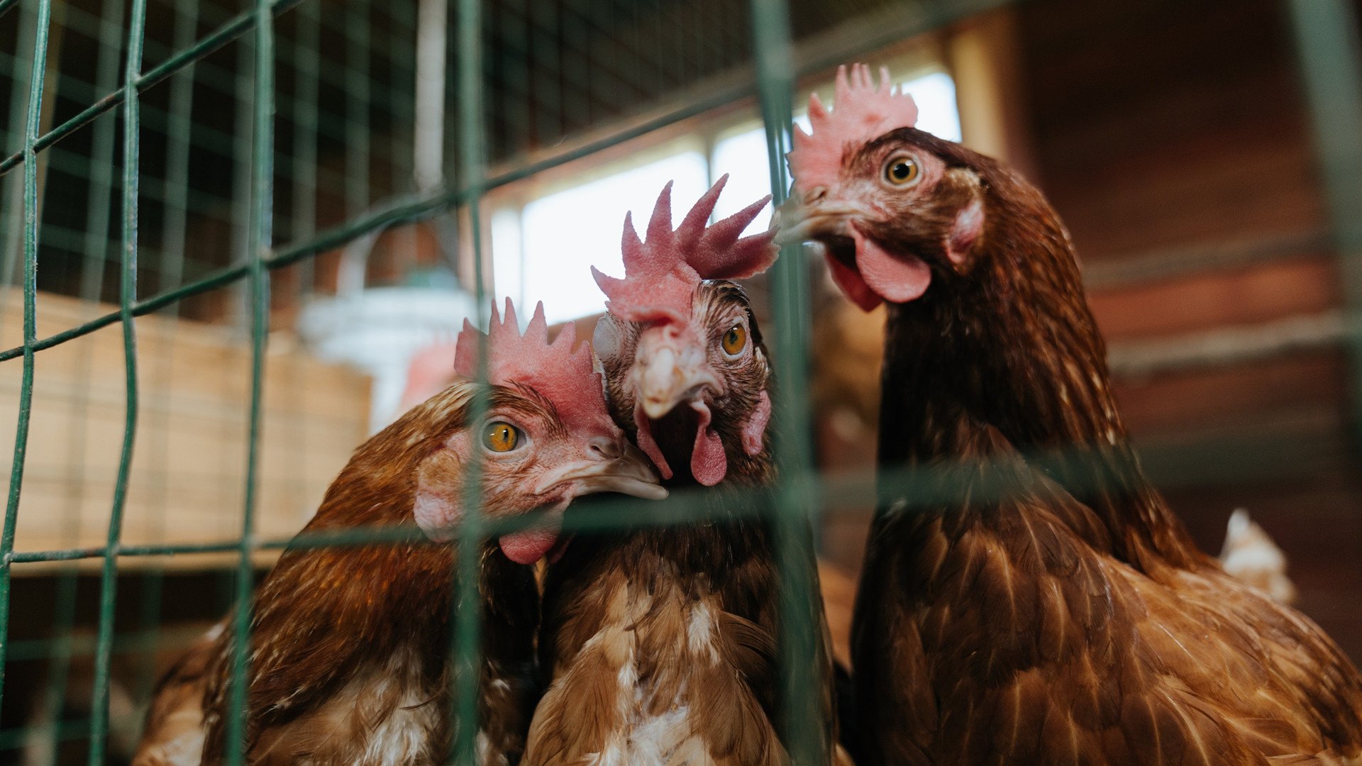 九游网页版入口-西甲裁判系统引入语义自动标注提升赛后复盘效率,西甲著名裁判