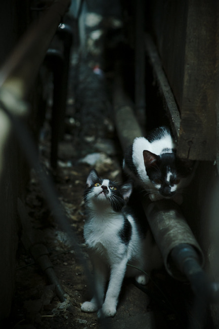 九游娱乐官网 (jiuyou)-中国男篮加强投篮训练,中国男篮投篮姿势