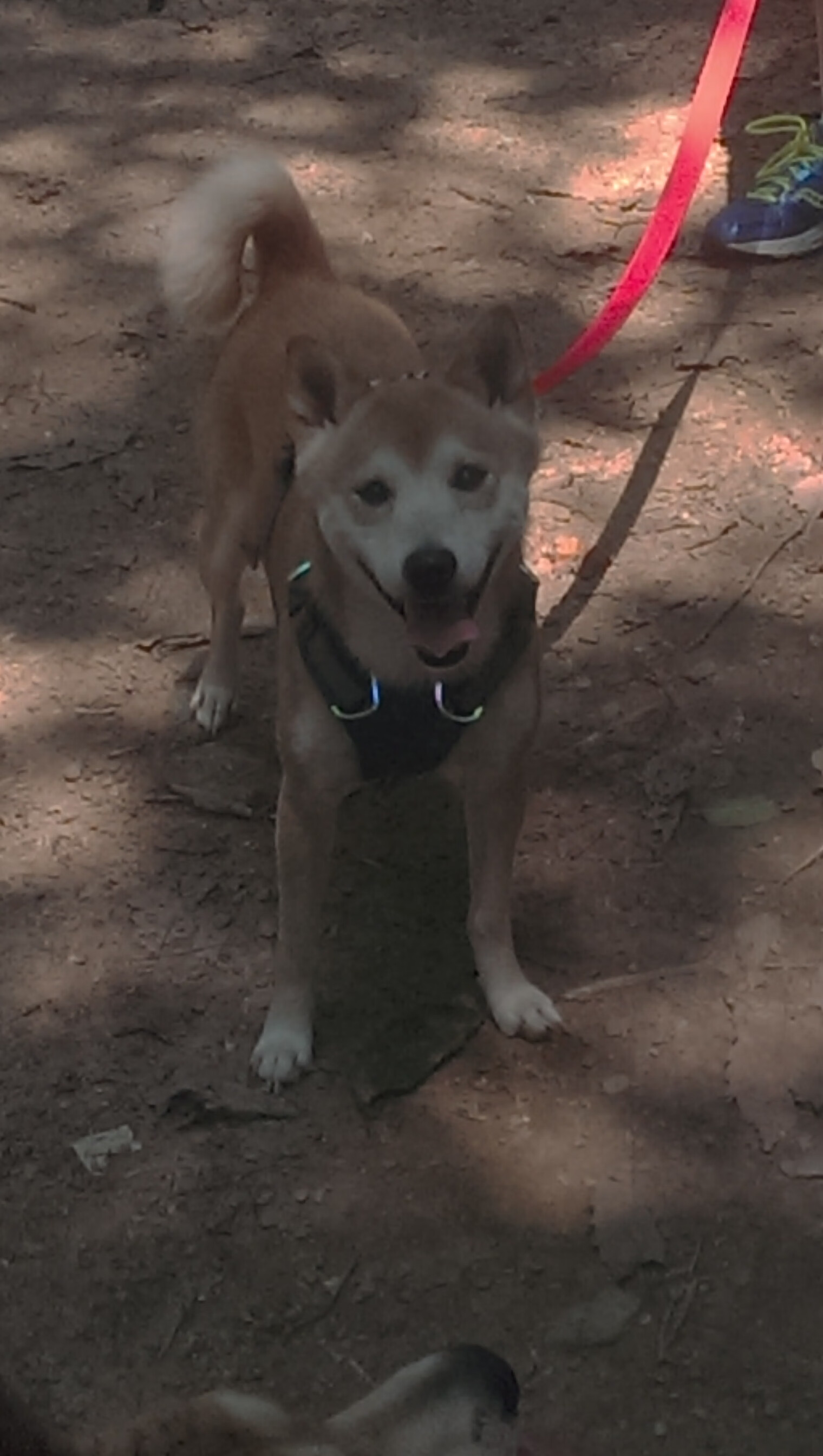 九游娱乐官网 (JIUYOU)-中超联赛中国青年队战败 球员需要更多实战经验，中超青年csly