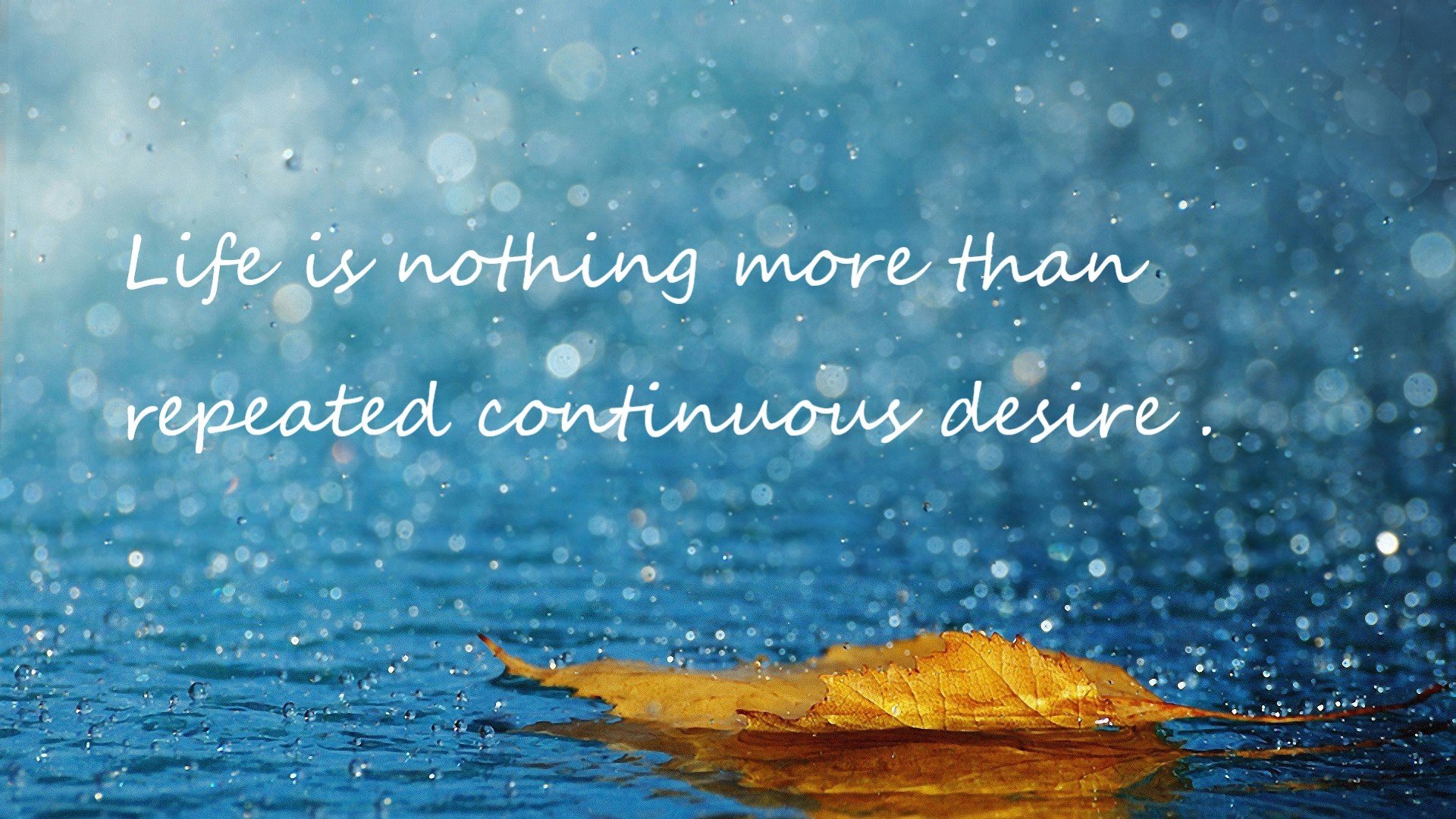 九游（jiuyou.com）游戏-决赛亮点回顾，精彩瞬间不断，决赛启动