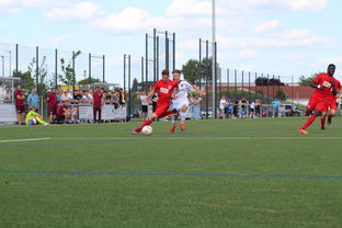 九游娱乐官网 (jiuyou)-特色足球运动场设计结合智慧城市理念，实现多功能利用，趣味足球场设计