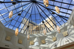 九游娱乐官网 (JIUYOU)-雷霆计划提升场馆观众体验改造座椅,雷霆活动